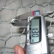 Electro Galvanized Hexagonal Wire Nettings